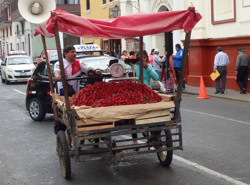 Mercados y Turítica.